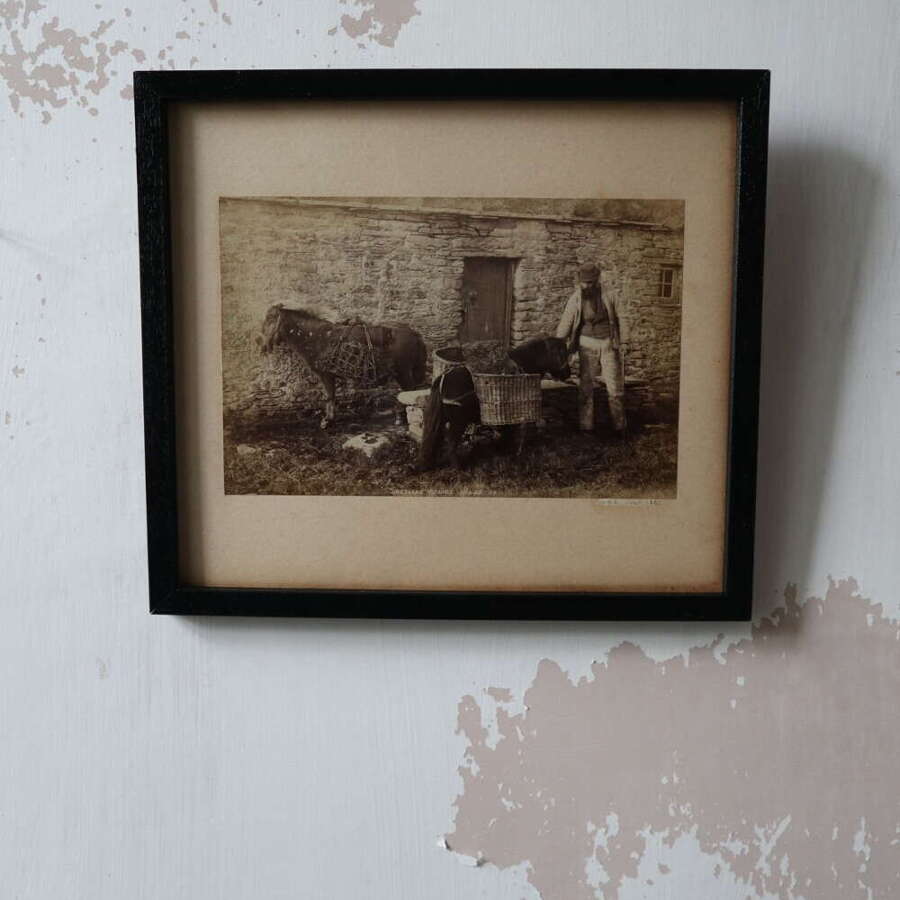 Victorian 1895 Scottish Crofter & Shetland Ponies B&W photograph